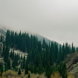 Peaks & Pastures of Kyrgyzstan
